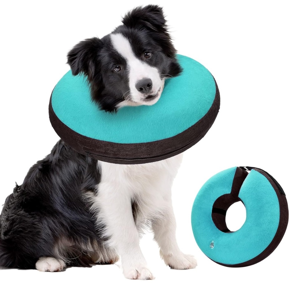 Bilibara Inflatable Dog Collar Size Large Teal Color Recovery Surgery Cone New